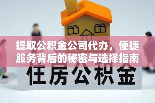 娄底提取公积金公司代办，便捷服务背后的秘密与选择指南