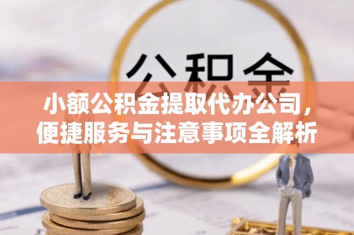 娄底小额公积金提取代办公司，便捷服务与注意事项全解析