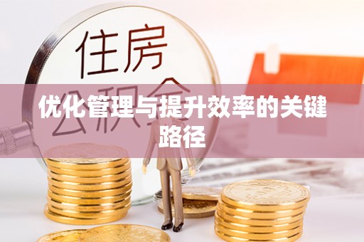 娄底优化管理与提升效率的关键路径