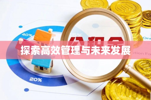 娄底探索高效管理与未来发展
