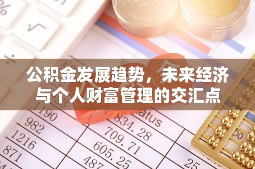 娄底公积金发展趋势，未来经济与个人财富管理的交汇点