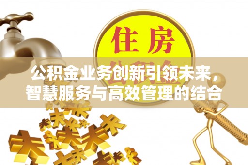 娄底公积金业务创新引领未来，智慧服务与高效管理的结合