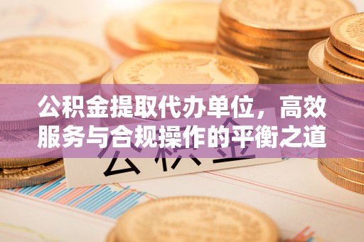 娄底公积金提取代办单位，高效服务与合规操作的平衡之道