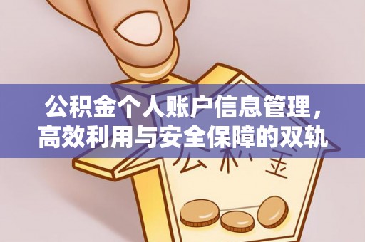 娄底公积金个人账户信息管理，高效利用与安全保障的双轨并行