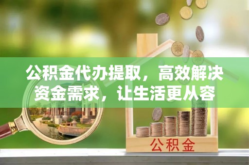 娄底公积金代办提取，高效解决资金需求，让生活更从容