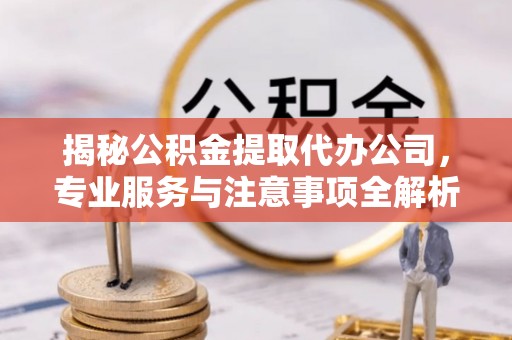 娄底揭秘公积金提取代办公司，专业服务与注意事项全解析