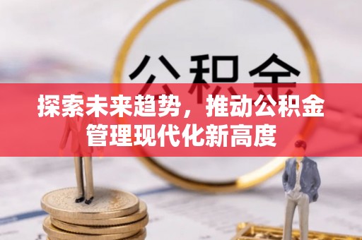 娄底探索未来趋势，推动公积金管理现代化新高度