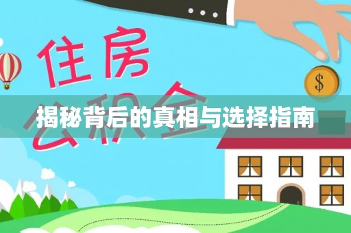 娄底揭秘背后的真相与选择指南