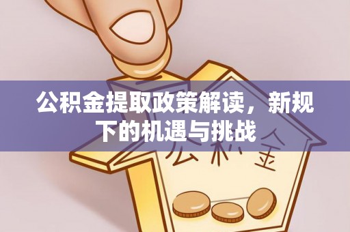 娄底公积金提取政策解读，新规下的机遇与挑战