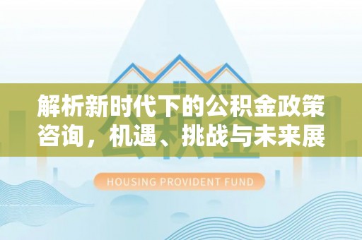 娄底解析新时代下的公积金政策咨询，机遇、挑战与未来展望