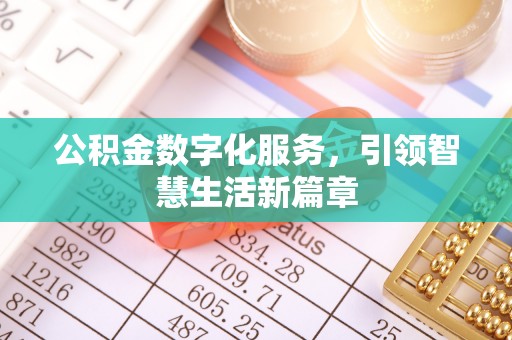 娄底公积金数字化服务，引领智慧生活新篇章