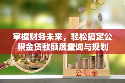 娄底掌握财务未来，轻松搞定公积金贷款额度查询与规划