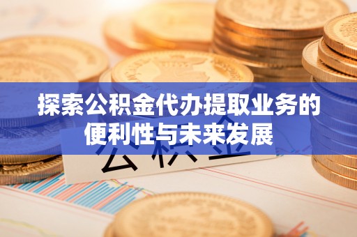 娄底探索公积金代办提取业务的便利性与未来发展