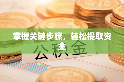 娄底掌握关键步骤，轻松提取资金