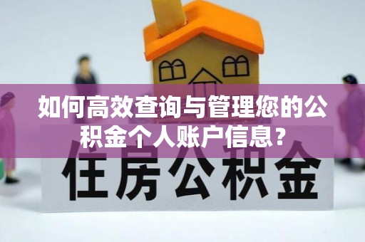 娄底如何高效查询与管理您的公积金个人账户信息？