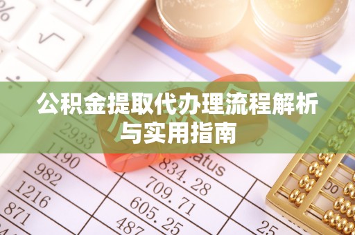 娄底公积金提取代办理流程解析与实用指南