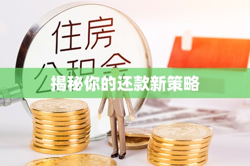 娄底揭秘你的还款新策略