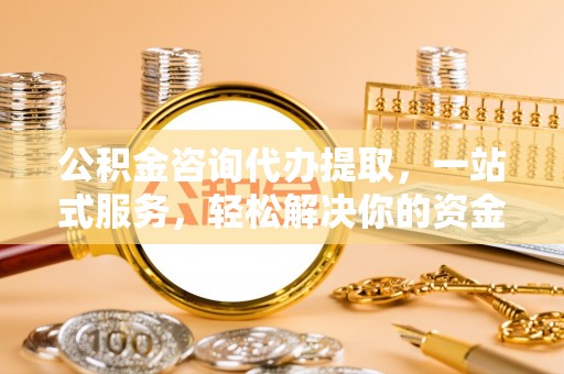 娄底公积金咨询代办提取，一站式服务，轻松解决你的资金难题