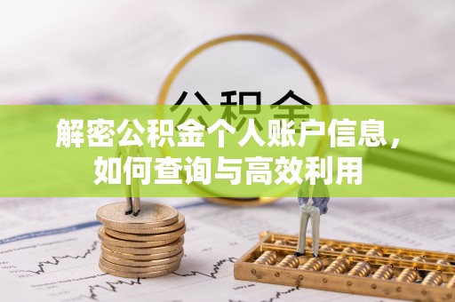 娄底解密公积金个人账户信息，如何查询与高效利用