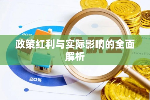 娄底政策红利与实际影响的全面解析