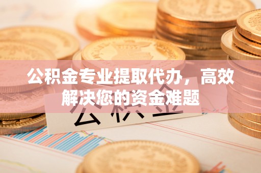 娄底公积金专业提取代办，高效解决您的资金难题
