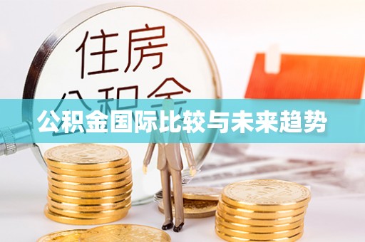 娄底公积金国际比较与未来趋势