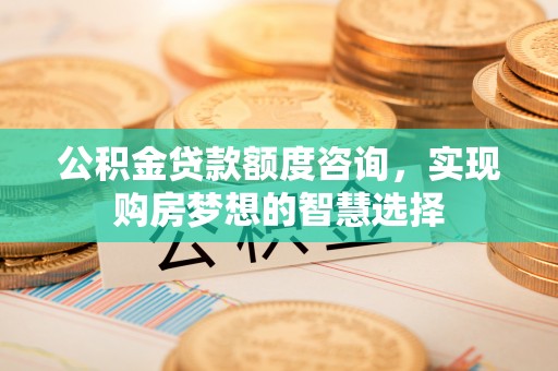 娄底公积金贷款额度咨询，实现购房梦想的智慧选择