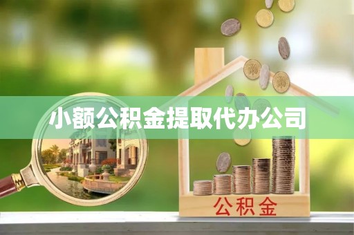 娄底小额公积金提取代办公司