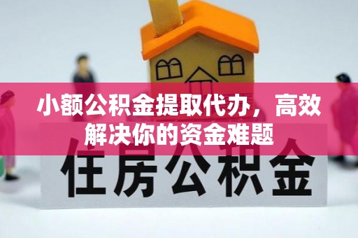 娄底小额公积金提取代办，高效解决你的资金难题