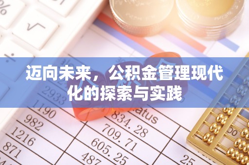 娄底迈向未来，公积金管理现代化的探索与实践