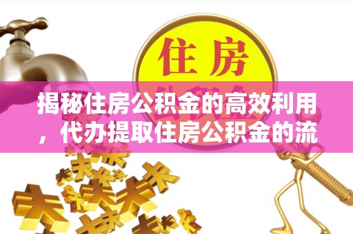 娄底揭秘住房公积金的高效利用，代办提取住房公积金的流程与技巧