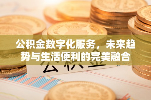 娄底公积金数字化服务，未来趋势与生活便利的完美融合