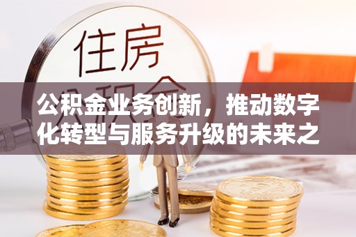 娄底公积金业务创新，推动数字化转型与服务升级的未来之路