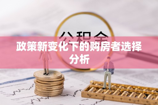娄底政策新变化下的购房者选择分析