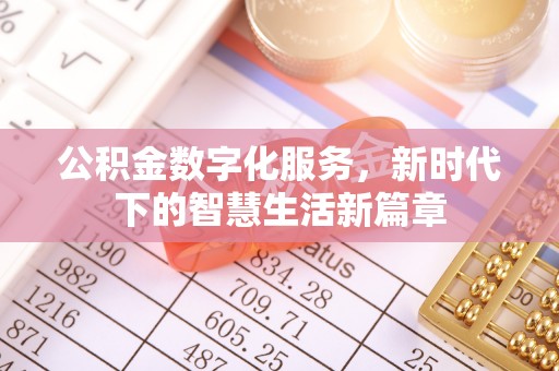 娄底公积金数字化服务，新时代下的智慧生活新篇章