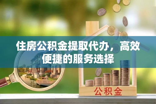 娄底住房公积金提取代办，高效便捷的服务选择