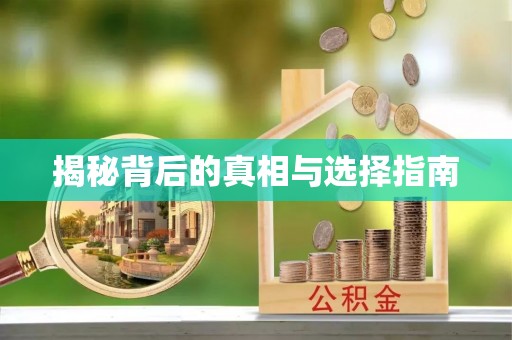 娄底揭秘背后的真相与选择指南