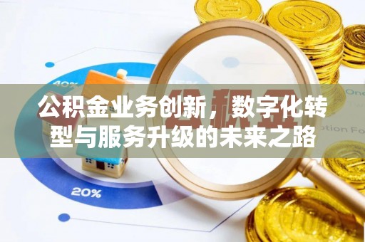 娄底公积金业务创新，数字化转型与服务升级的未来之路