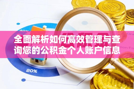 娄底全面解析如何高效管理与查询您的公积金个人账户信息