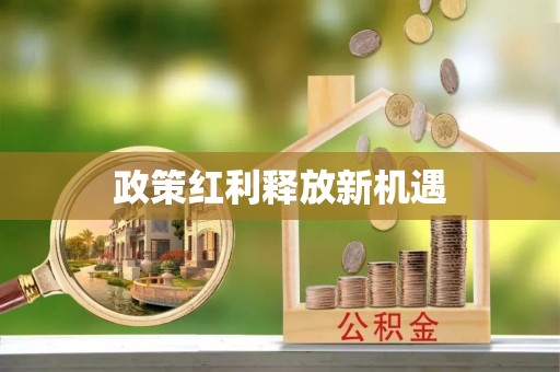 娄底政策红利释放新机遇