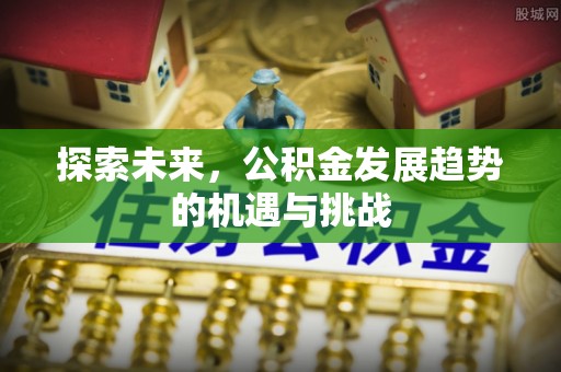 娄底探索未来，公积金发展趋势的机遇与挑战