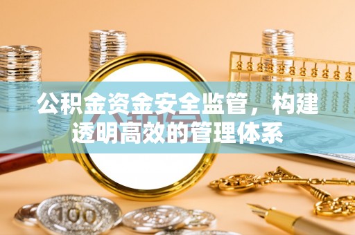 娄底公积金资金安全监管，构建透明高效的管理体系