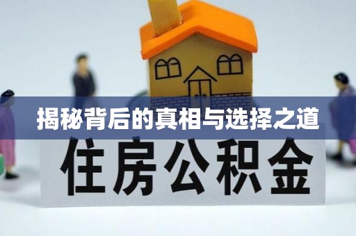 娄底揭秘背后的真相与选择之道