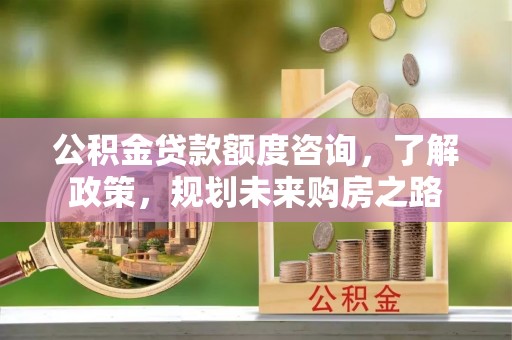 娄底公积金贷款额度咨询，了解政策，规划未来购房之路