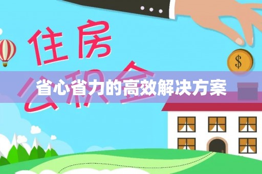 娄底省心省力的高效解决方案