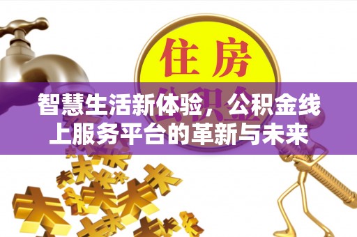 娄底智慧生活新体验，公积金线上服务平台的革新与未来