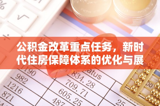 娄底公积金改革重点任务，新时代住房保障体系的优化与展望