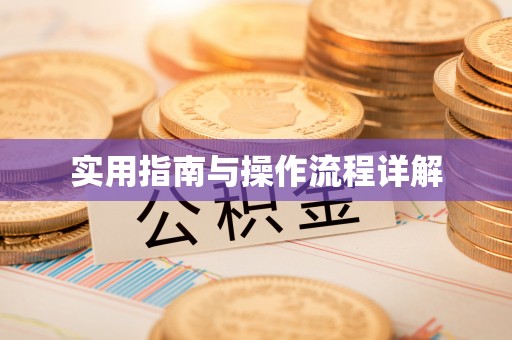 娄底实用指南与操作流程详解