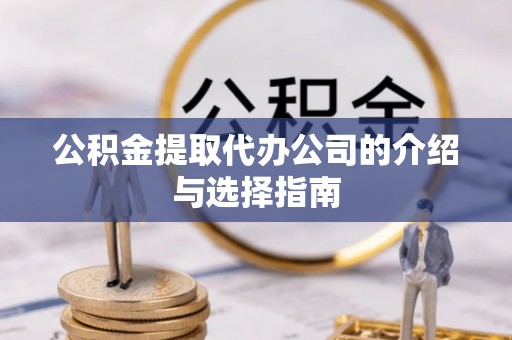 娄底公积金提取代办公司的介绍与选择指南