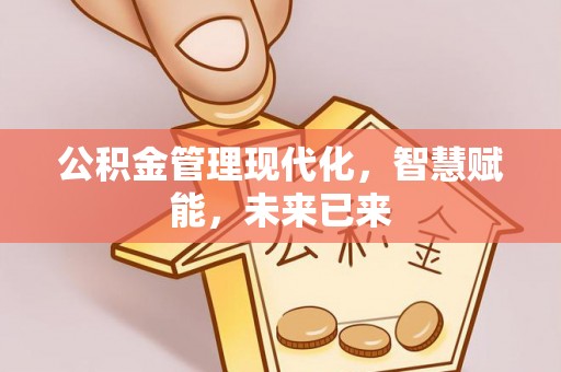 娄底公积金管理现代化，智慧赋能，未来已来
